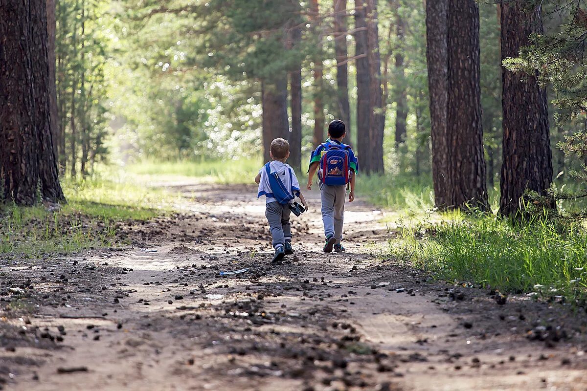Погулять по лесу. Прогулка в лесу. Прогулки в лесу с детьми. Мальчик в лесу. Прогулка детей в лесу ходьба.