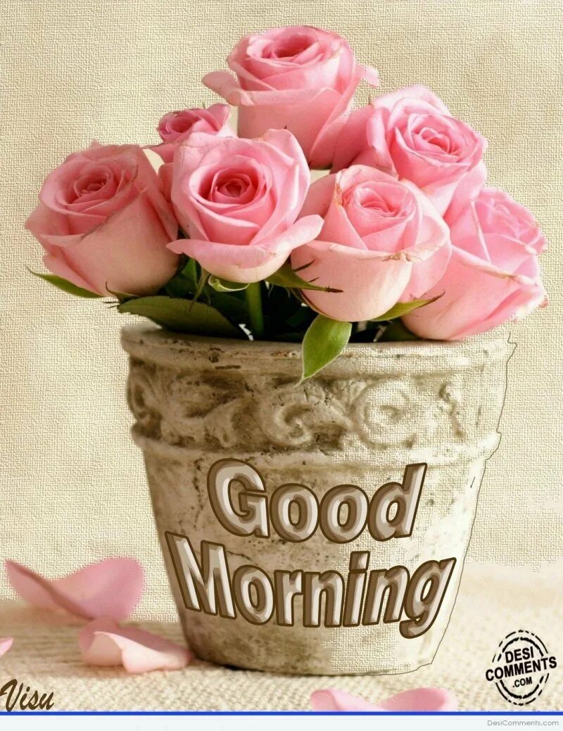 Доброе утро картинки с розами и надписями. Good morning цветы. Good morning с цветами. Открытки good morning с цветами. Доброе утро розовые розы с надписью.