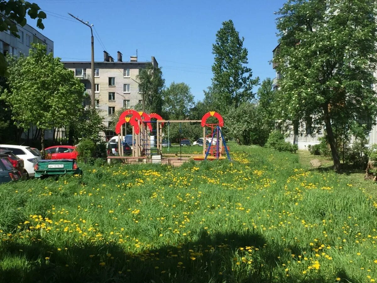 Отрадное Кировский район. Поселок Отрадное Ленинградская. Город Отрадное Кировский район Ленинградская область. Ленинградская область Кировский район город Отрадное улица Гагарина.