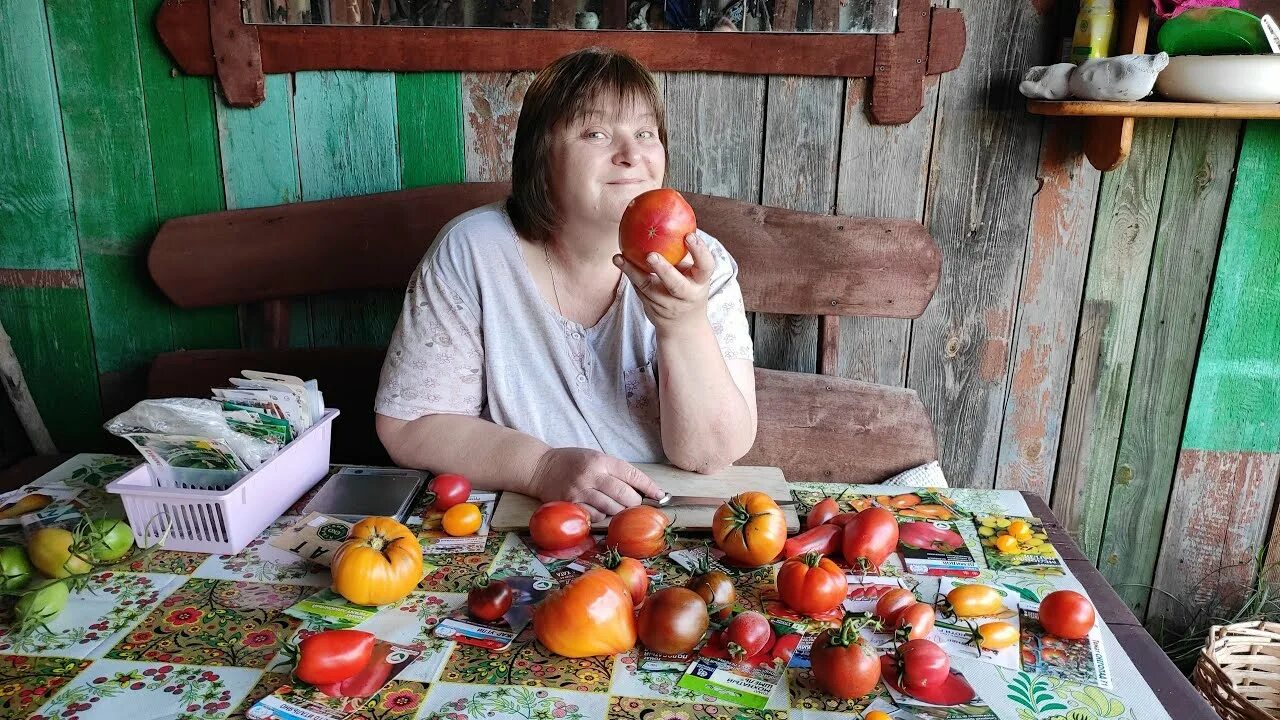 Томат Пузата хата. Сорт помидор Пузата хата. Помидоры Дынюшка. Дегустация томатов. Пузата хата помидоры фото отзывы садоводов