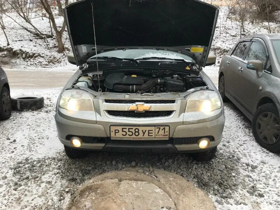 Лампы шнива. Лампа ближнего света Нива Шевроле. Лампы Шевроле Нива ближнего света 2003 года. Лампочка ближнего света Шевроле Нива. Лампа ближнего света Нива Шевроле 2001 год.