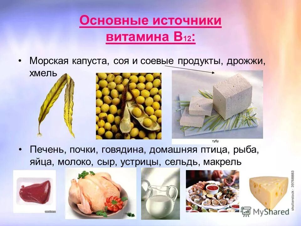 В каких продуктах находится витамин б 12. Витамин б12 источники. Основные источники витамина б12. Витамин б12 источники витамина. Растительные источники витамина в12.