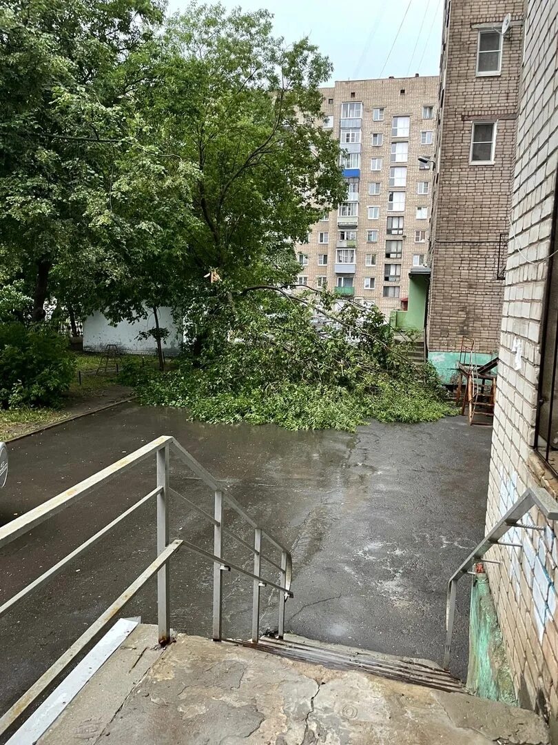 Подслушано в рыбинске в контакте свежие. Подслушано в Рыбинске. Подслушка в Рыбинске. Ветер в Рыбинске Ярославская область. Рыбинск деревья.