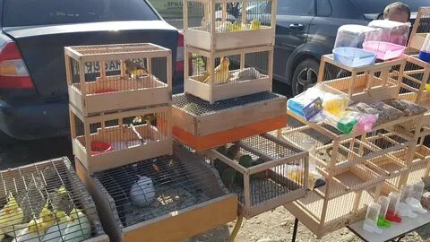 Птичий рынок в краснодаре адрес