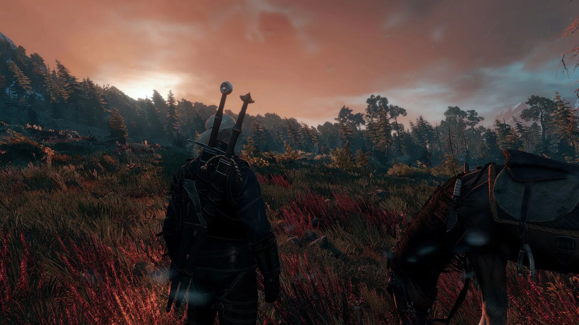 Ведьмак 3 dll. Короткий путь ведьмак 3. The witcher 3 wild hunt. The witcher 3 wild hunt ведьмак 3 дикая охота. Ведьмак 3 обои.