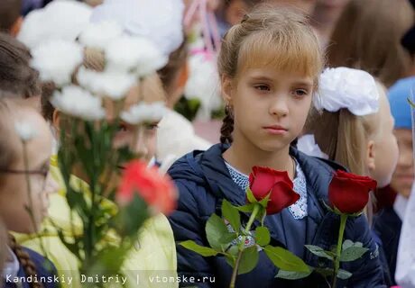 Лицей очень текст