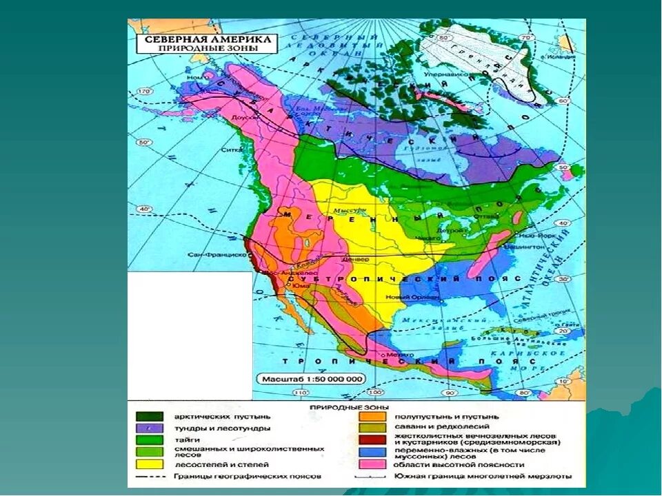 Климатические пояса и зоны Северной Америки. Карта природных зон Северной Америки. Карта природных зон США. Климатические пояса Северной Америки 7 класс география атлас. Большую часть северной америки занимает природная зона