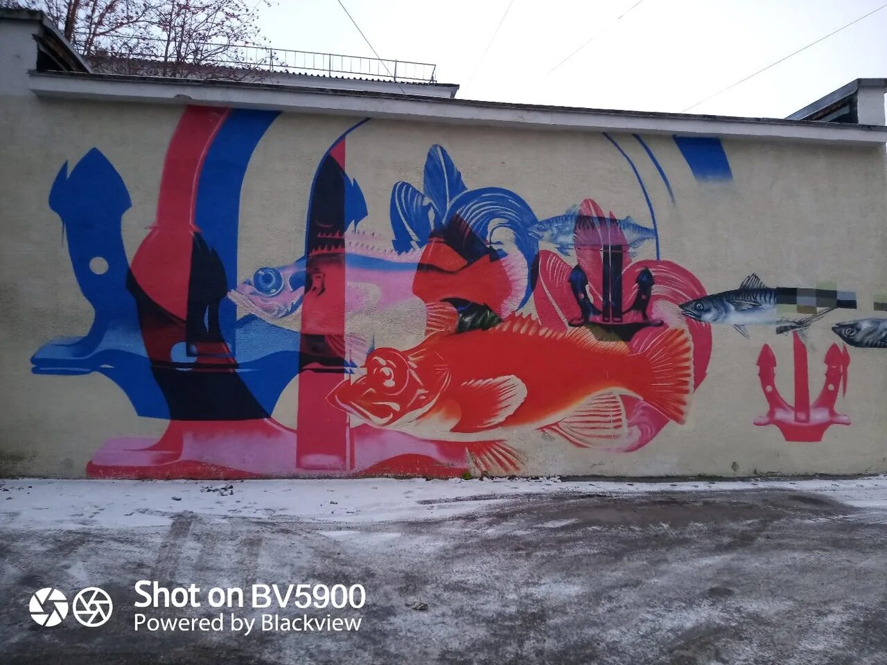 Граффити разум мурманск. Стрит арт мурманск. Стрит арт мурманск. Граффити мурманск. Стрит арт мурманск.