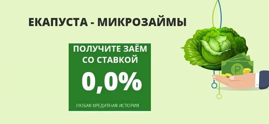 Микрозаймы на карту первый займ без процентов. Е капуста. Микрозайм капуста. ЕКАПУСТА логотип. Микрозаймы е капуста.