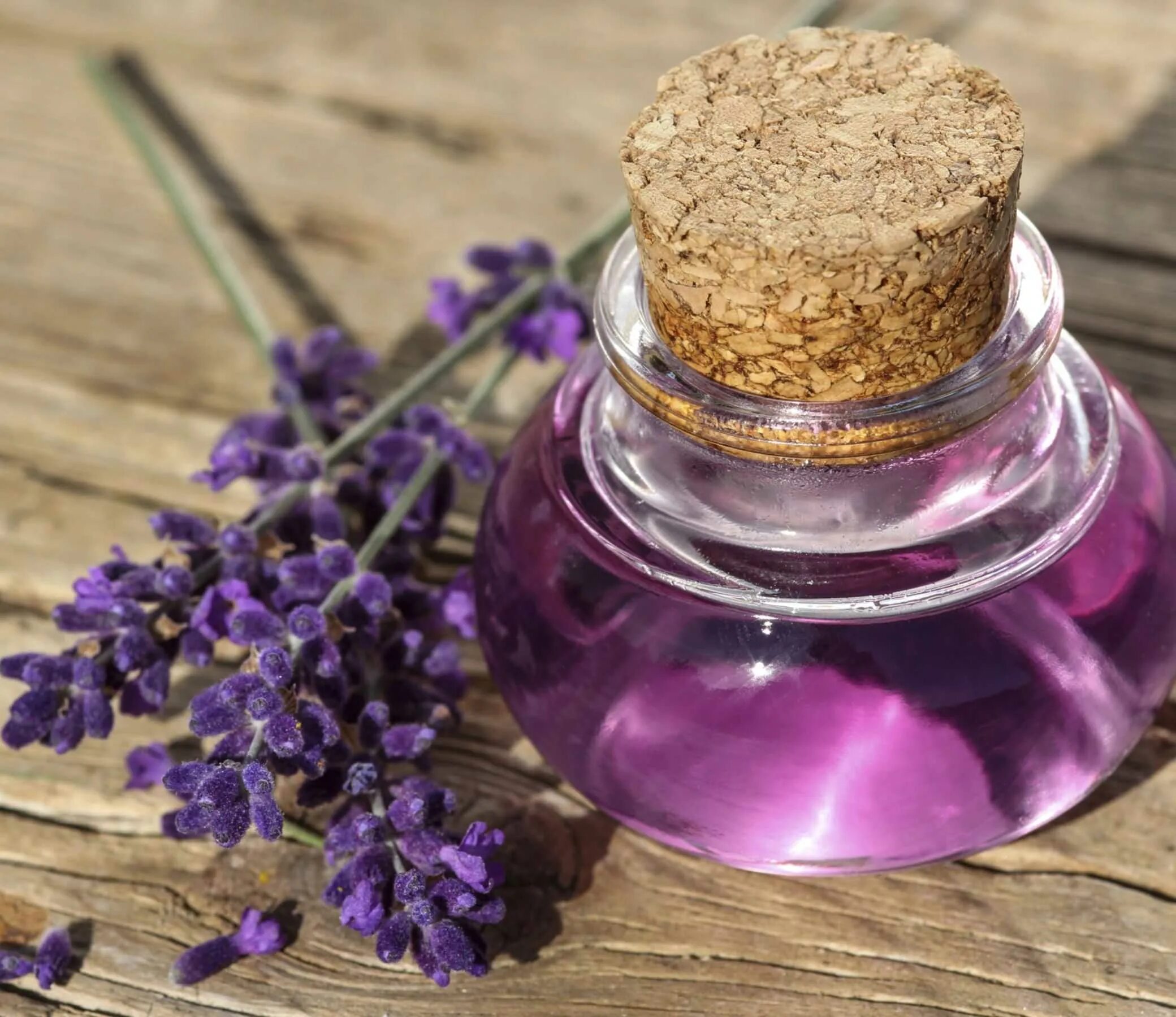 Зелья с сиренью. Косметическое масло сирень. Аромамасла сирень. Сиреневое масло. Аромат лаванды.