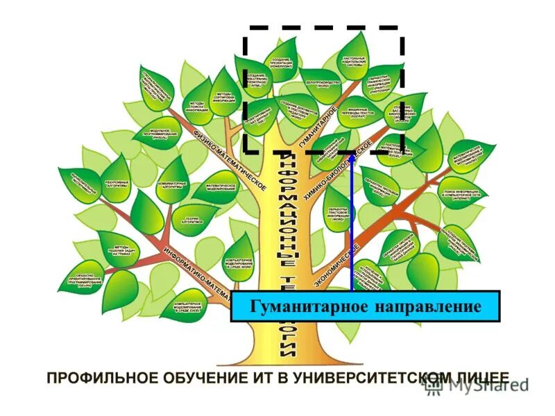 Гуманитарное направление класса. Гуманитарное направление. Социально-гуманитарное направление картинки. Направление социально ГУ. Гуманитарий направление.