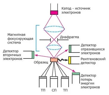 Принцип электронного микроскопа