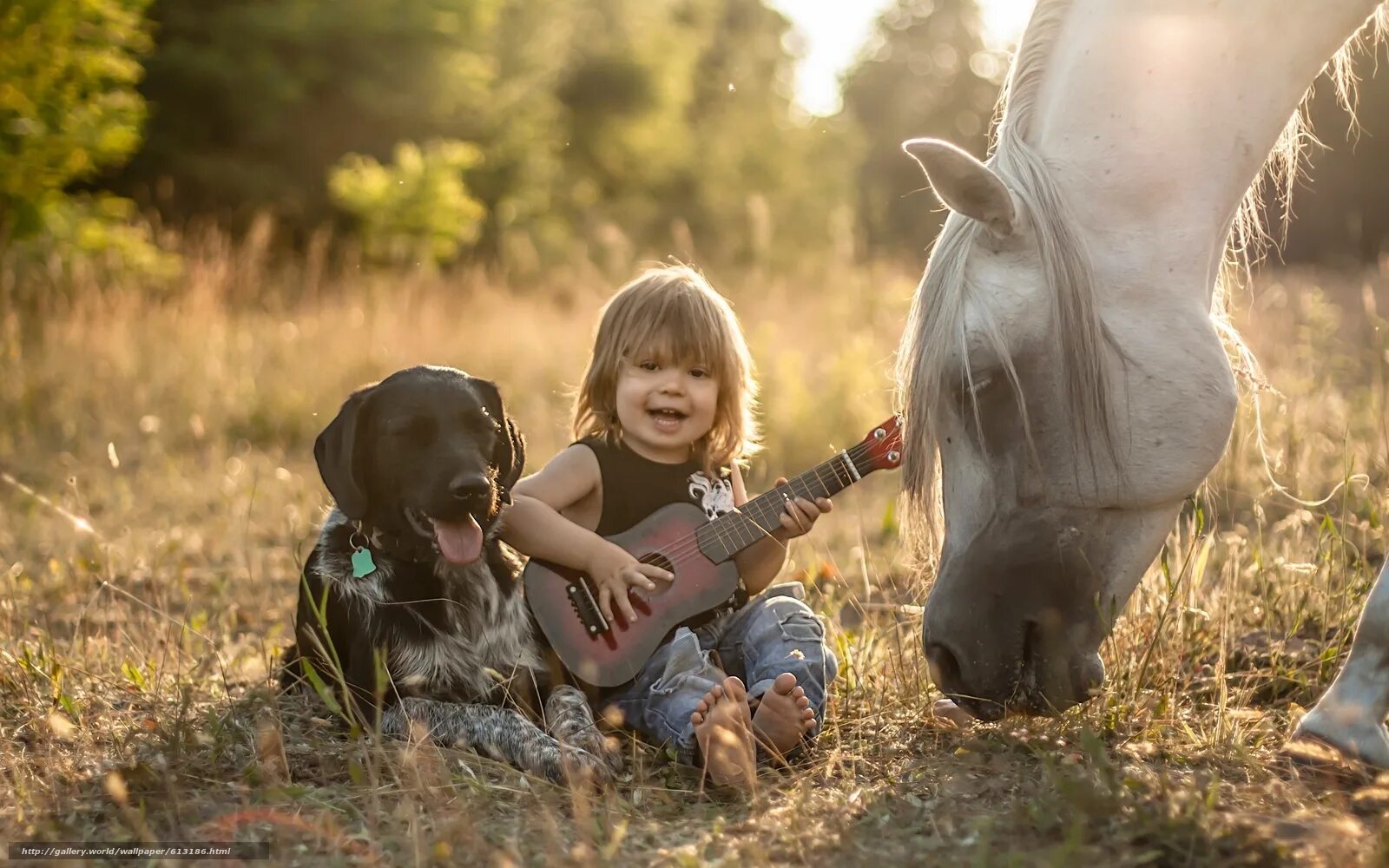 Маленькие дети и животные. Дети и природа. Для детей. Животные. Мальчик на лошади.