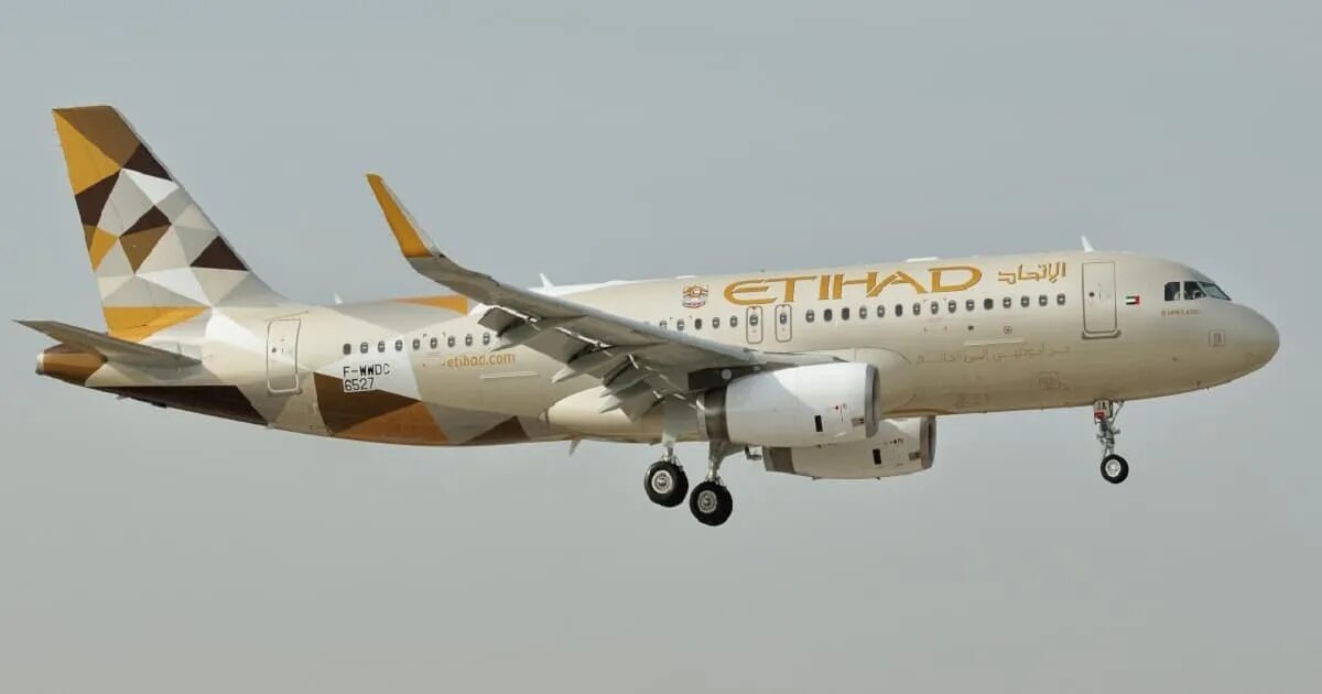 Арабские авиалинии этихад. Boeing 787-10 etihad. Etihad airways cargo. Абу даби авиакомпания. Etihad шереметьево.