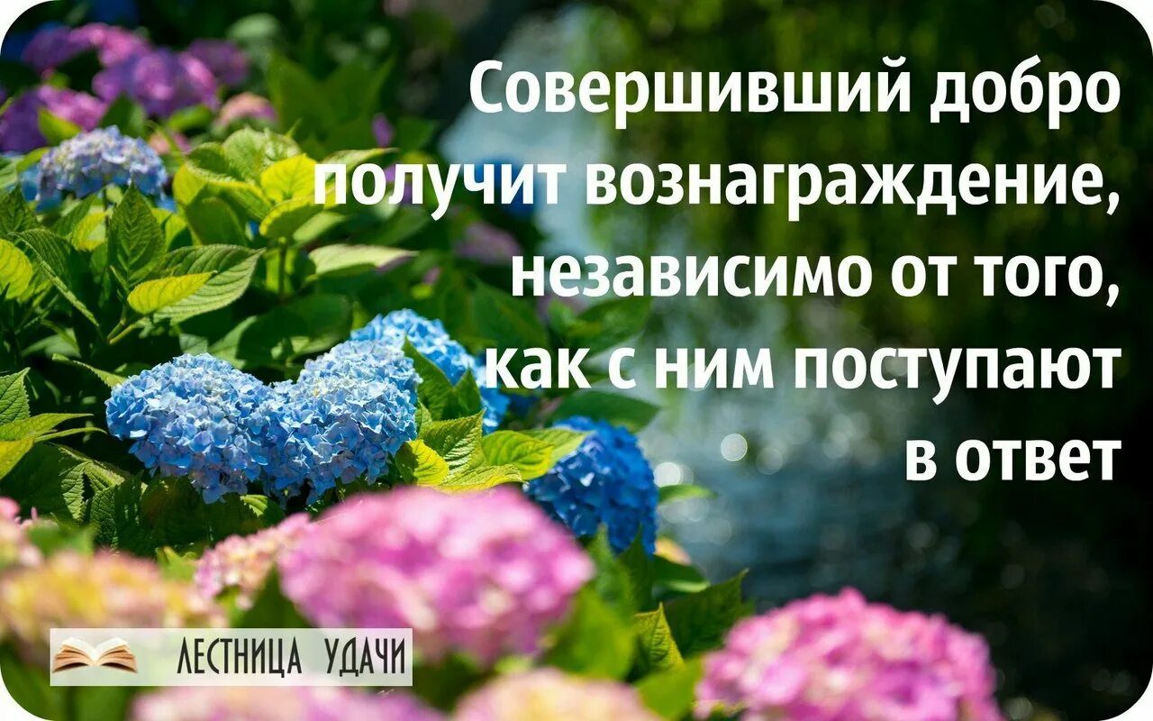 Добро возвращается добром. Твори добро и оно к тебе вернется. Твори добро и оно обязательно вернется. Творить добро безвозмездно. Добро сделанное сегодня