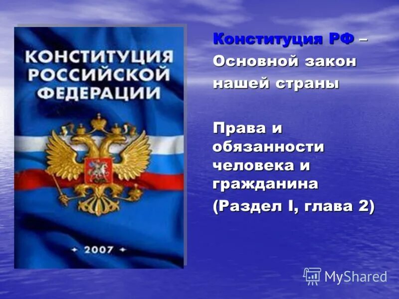Выборы это право или обязанность гражданина. Конституция РФ.