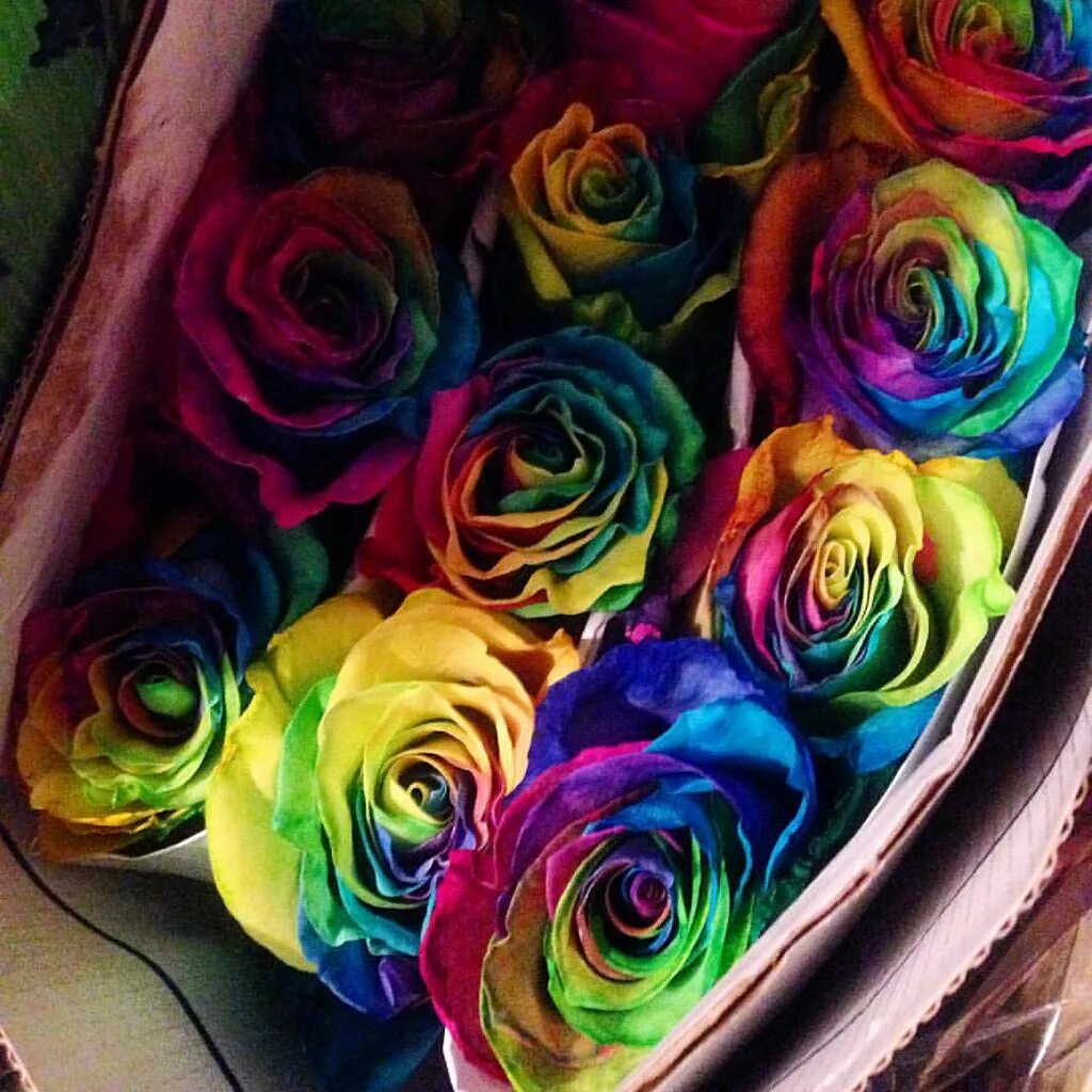 Радужные розы купить геншин. Радужные розы. Радужные розы модные букеты. Радужные розы из гофрированной бумаги.