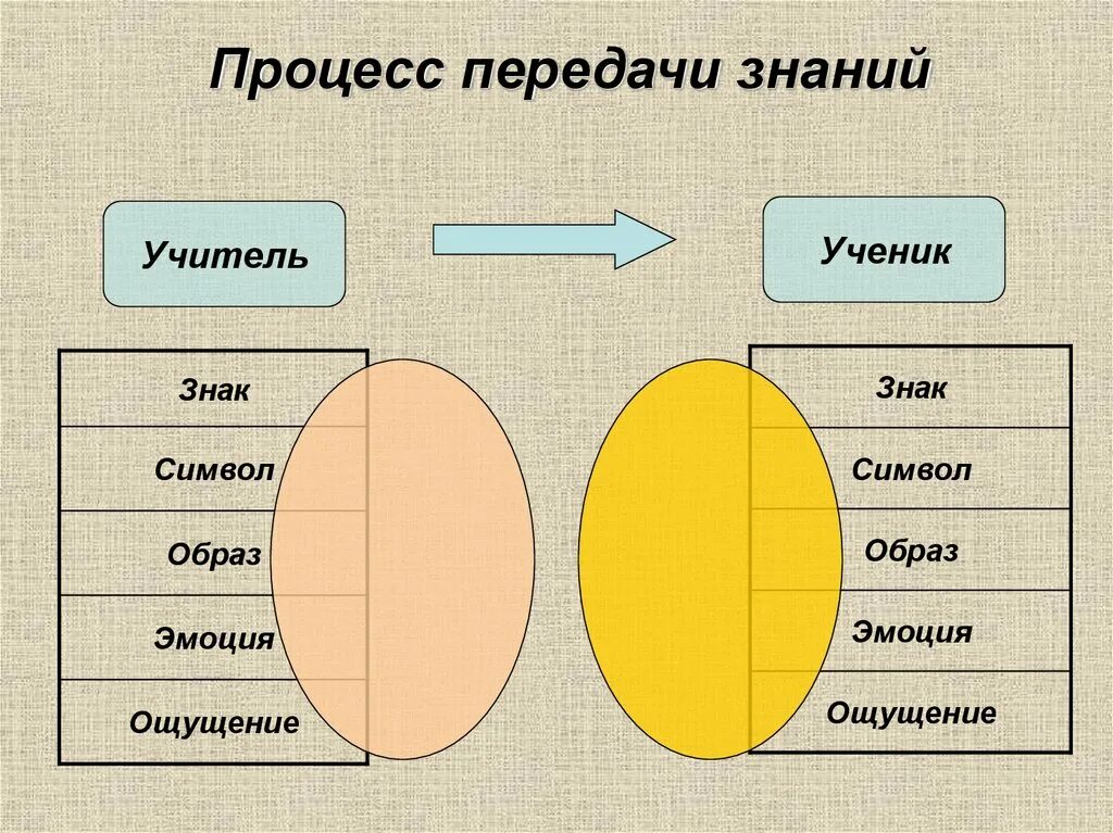 Передача знаний. Наличие особого языка для передачи знаний. Этапы передачи знаний. Модели передачи знаний. Передать знания и опыт