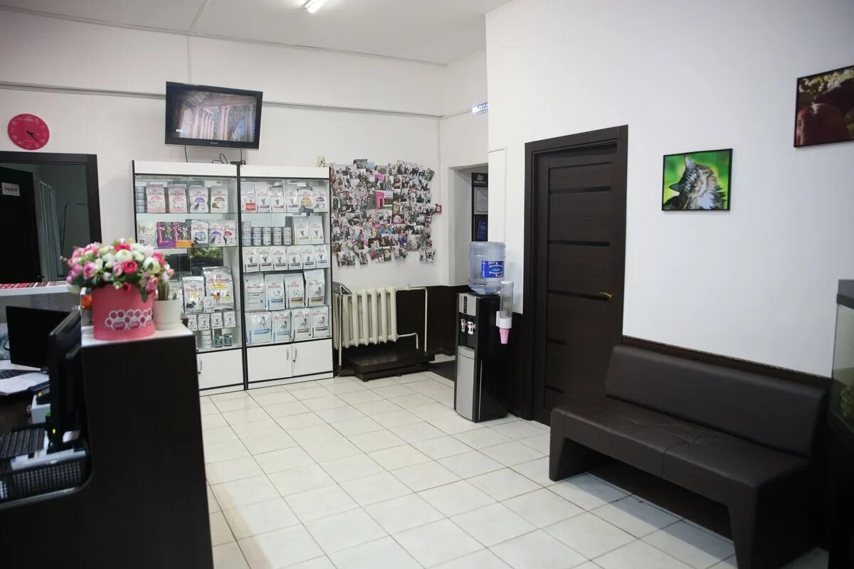 Логотип ветеринарной клиники. Дифельнариум ярославль. Курс ветеринарии для грумера. Наполеон ярославль. Наполеон ярославль.