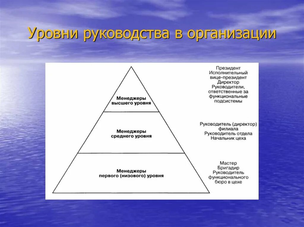 Руководитель высшего уровня управления