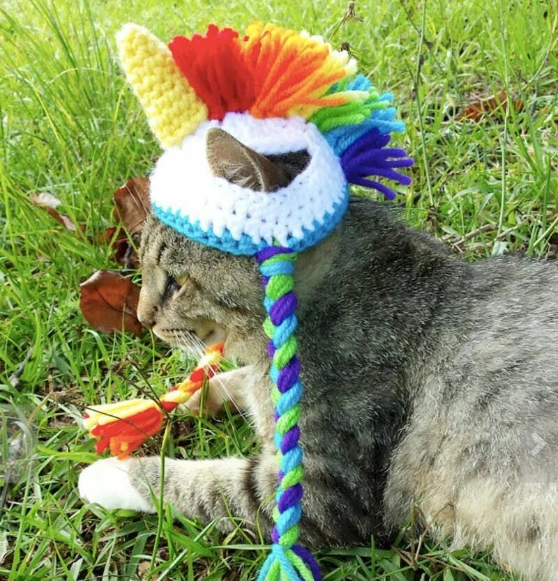 Животные шляпа. Вязаные шапочки для кошек. Шапка 'кошка'. Вязаная шапка кошка. Кот в шапке.