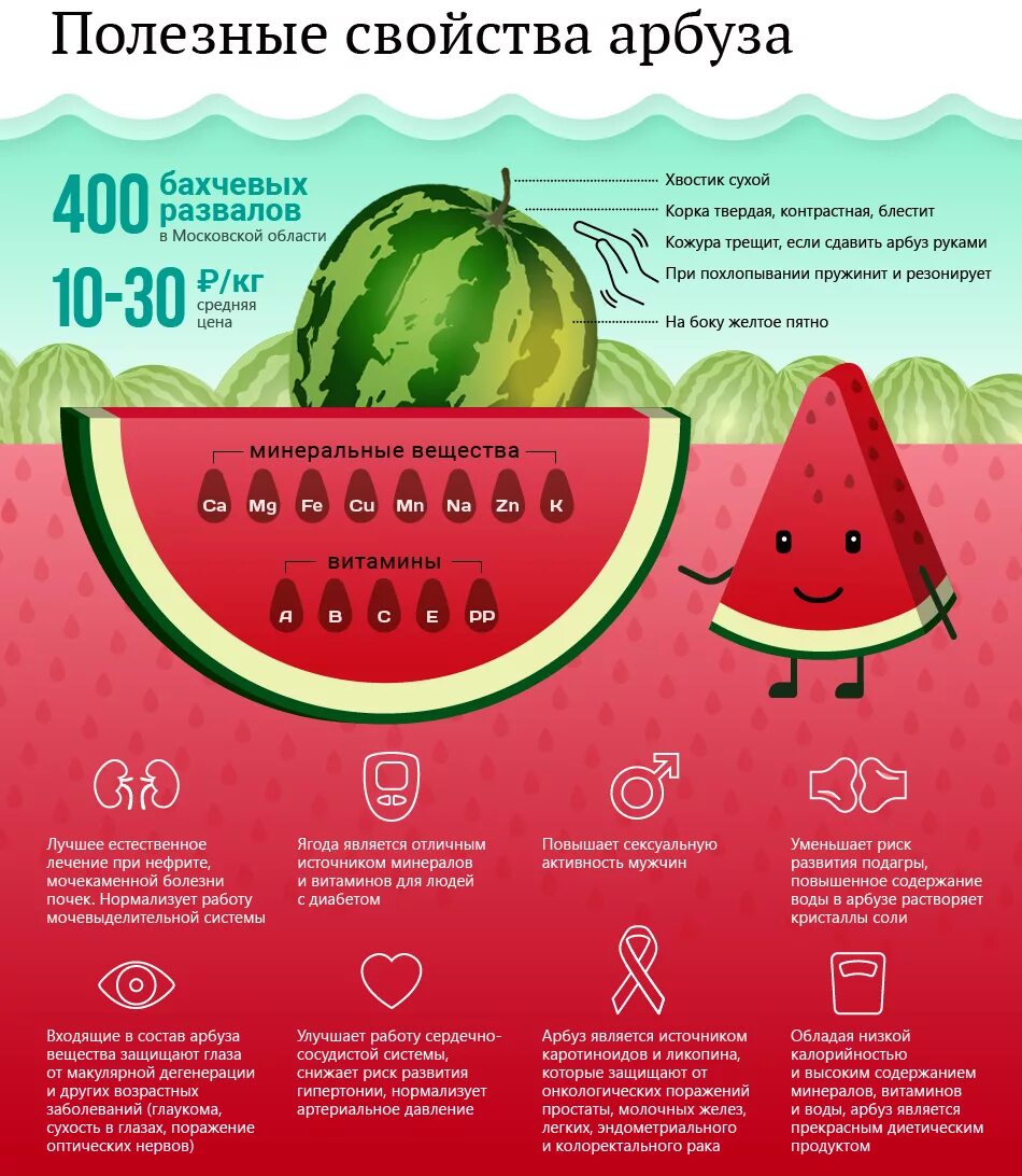 Вещества содержащиеся в арбузе. Чем полезен Арбуз. Польза арбуза. Полезные качества арбуза. Калорийность арбуза.