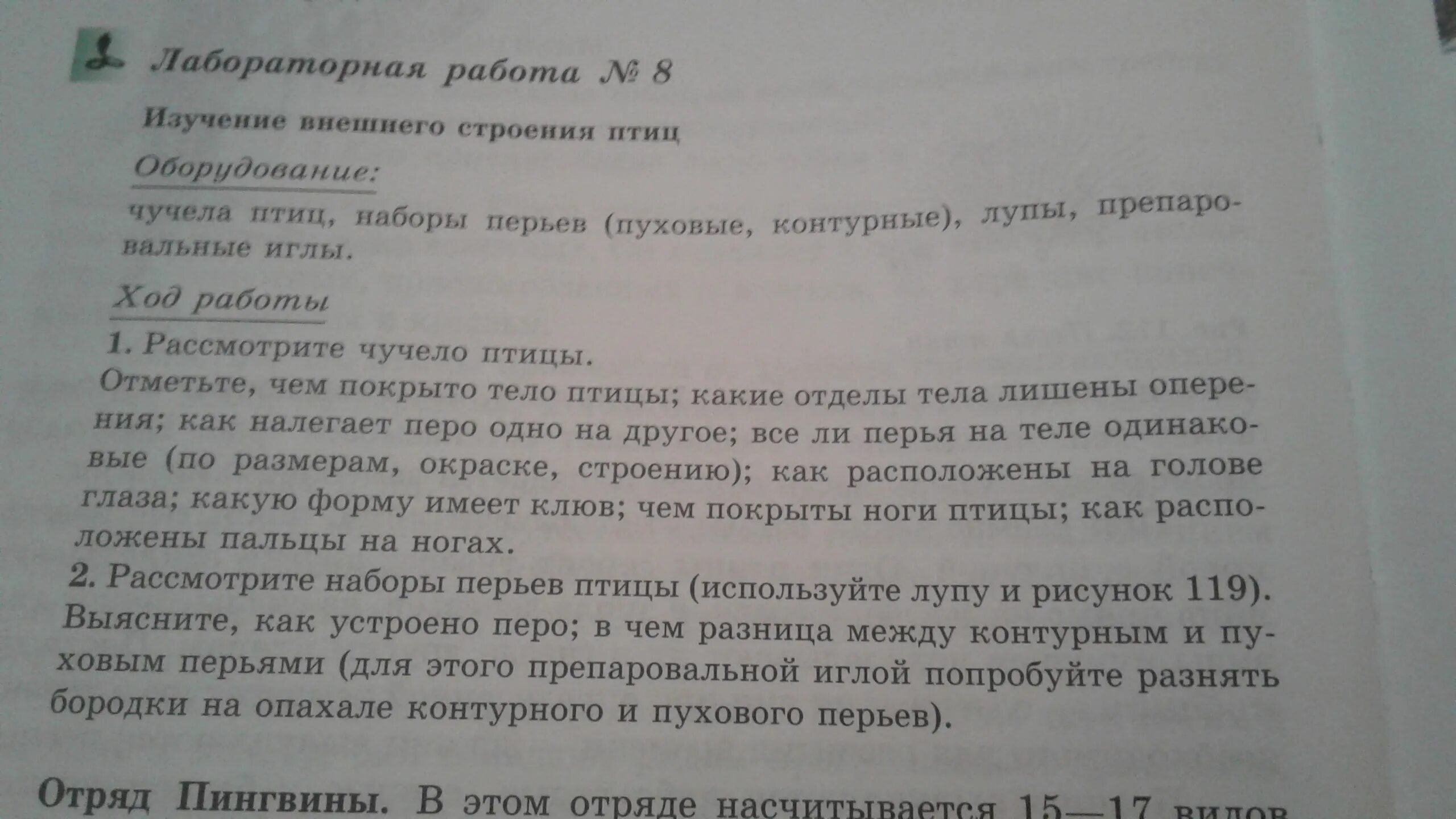 Лабораторная работа изучение и строение птиц. Лабораторная по биологии изучение внешнего строения птицы. Лабораторная работа изучение внешнего строения птиц. Лабораторная работа по биологии изучение внешнего строения птиц.