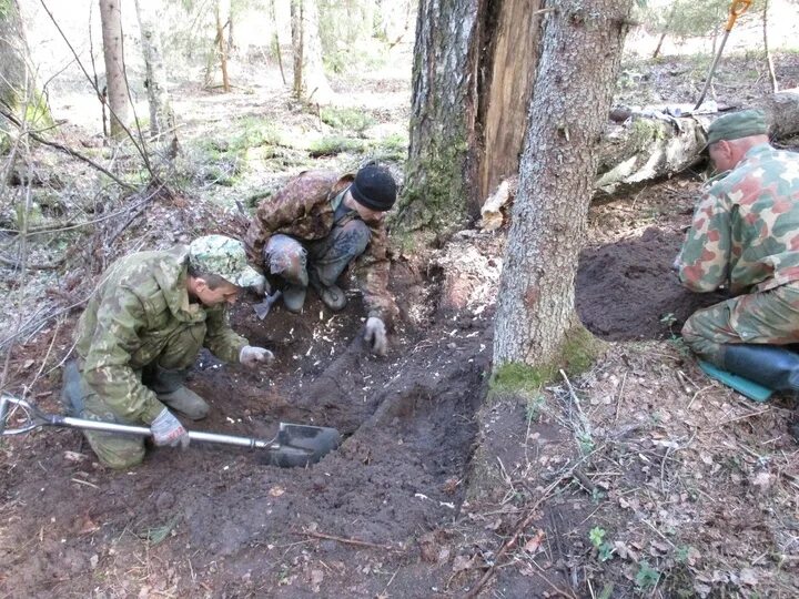 Подвиг найдена. Охота в Андреапольском районе. Копатели в Андреапольском районе. Нашли останки бойца в форме. Вахта памяти 2020 Тверская область фотографии.