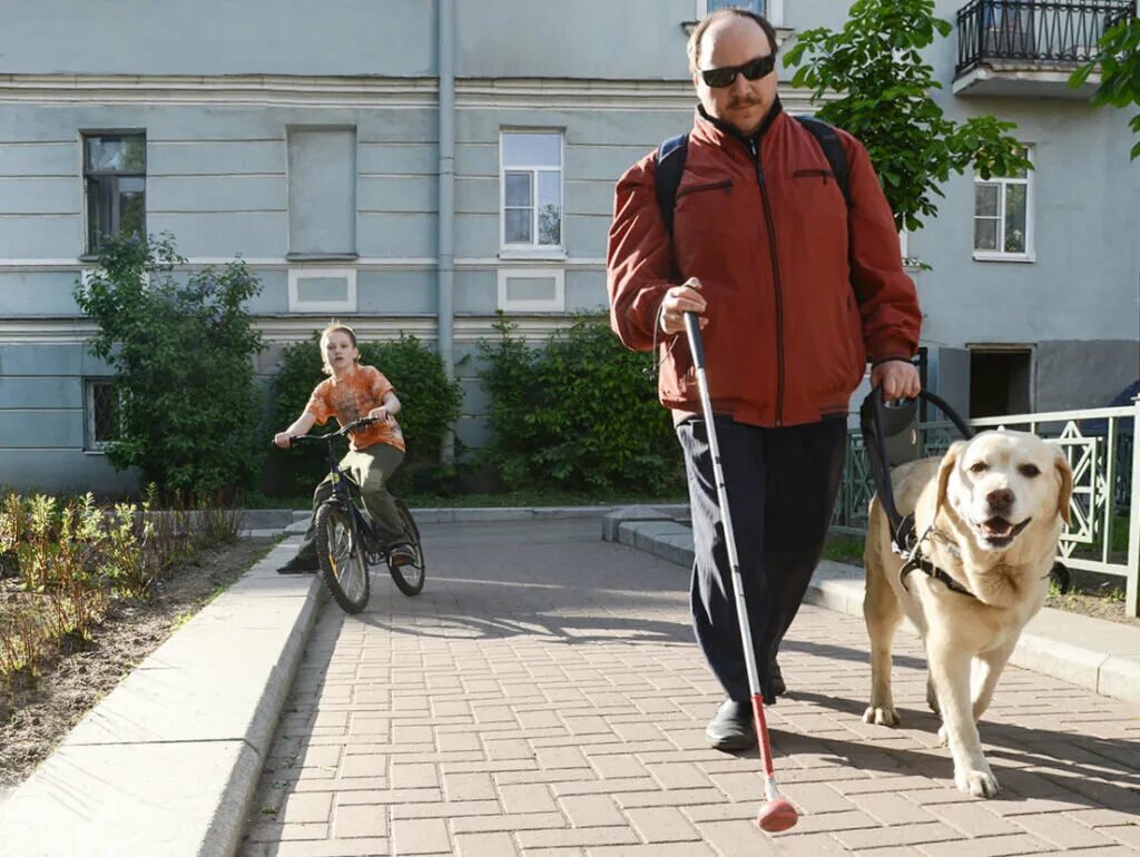 Ярославль группы инвалидов. Инвалиды по зрению. Инвалид с собакой поводырем. Слепые инвалиды. Белая трость.