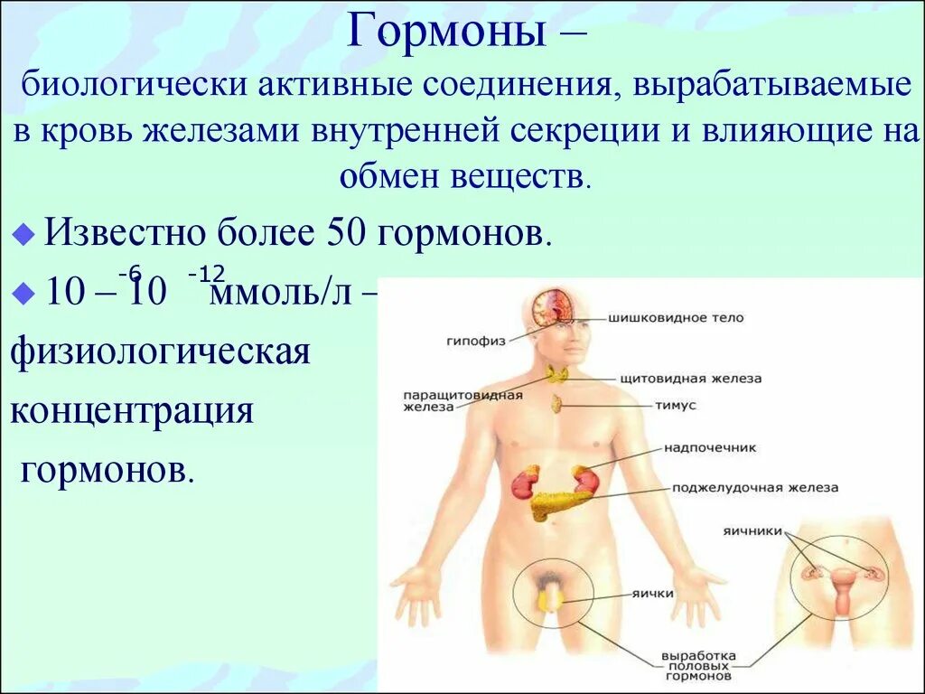 Жидкость вырабатываемая железа. Эндокринная система железы внутренней секреции схема. Гормоны. Гормоны человеческого организма. Гормоны вырабатываемые железами внутренней секреции.