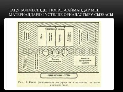 Ритена кискасының суреті