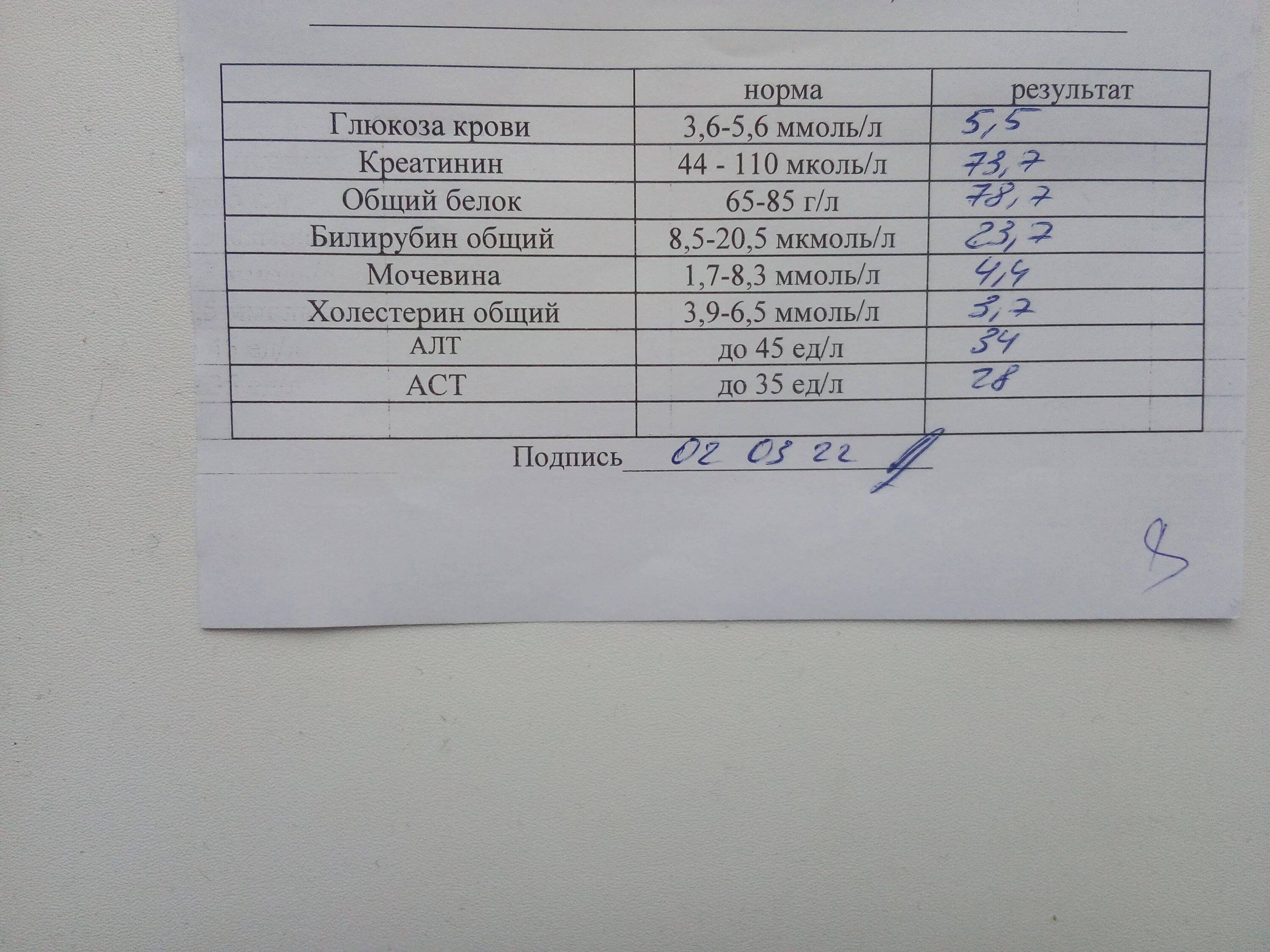 Повышение аст и алт при нормальном билирубине. Алт АСТ билирубин норма. Анализ крови на билирубин. Билирубин общий 37 у взрослого. Направление на анализ крови на билирубин.