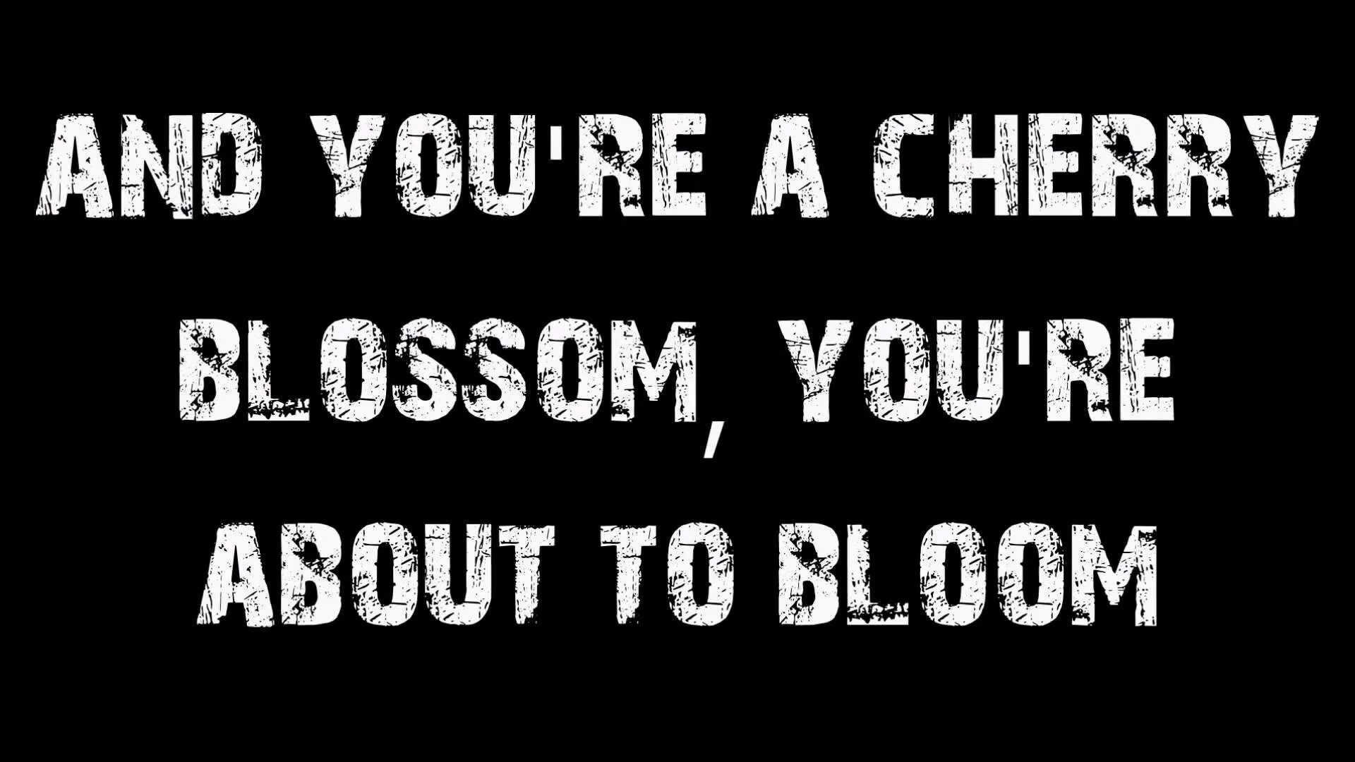 Группа fall out boy. Текст песни centuries fall out boy. Fall out boy постер. Fallout шрифт. Шрифты из фоллаута.