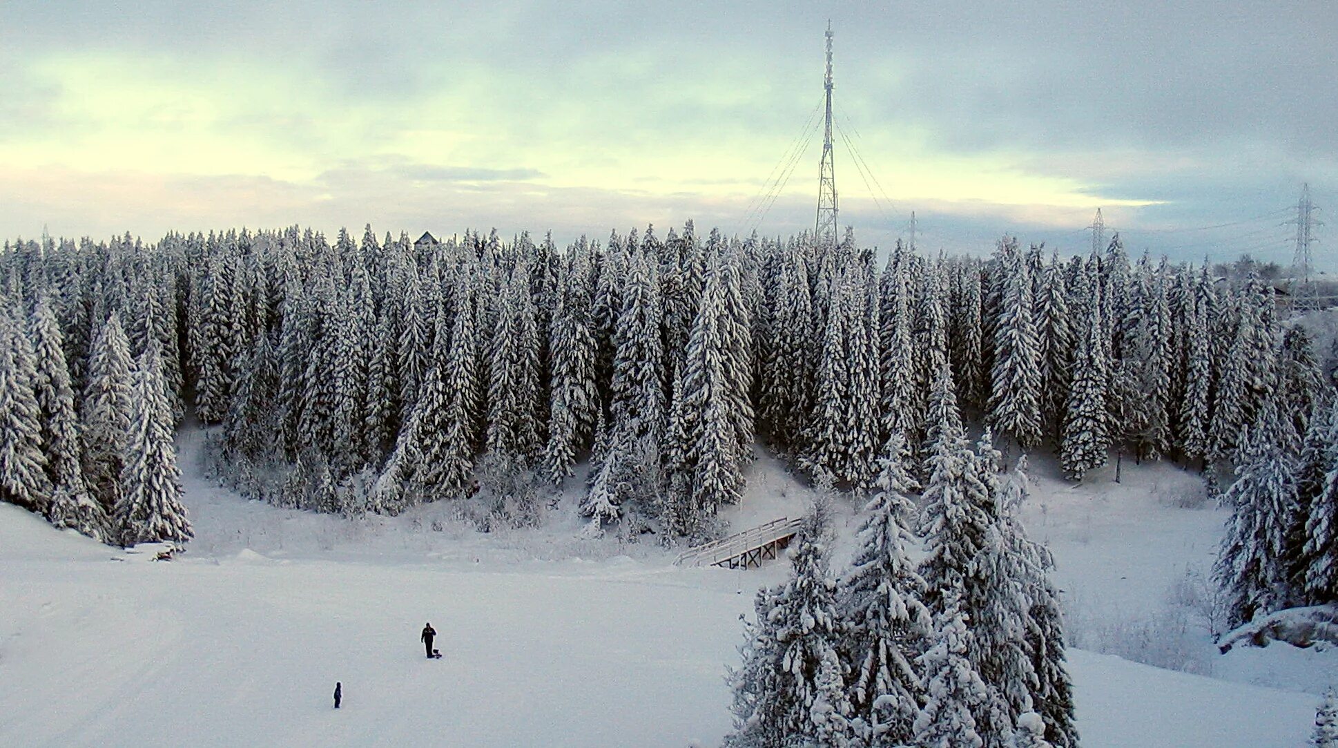 Зимняя природа сибири. Тайга ханты-мансийск зима. Сибирские просторы хмао зима. Тайга ханты мансийск. Сибирь ханты-мансийск.