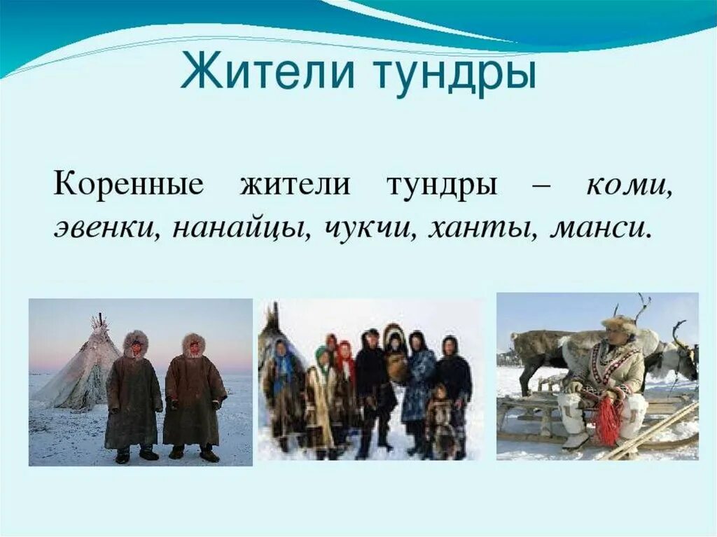 Народы проживающие в тундре