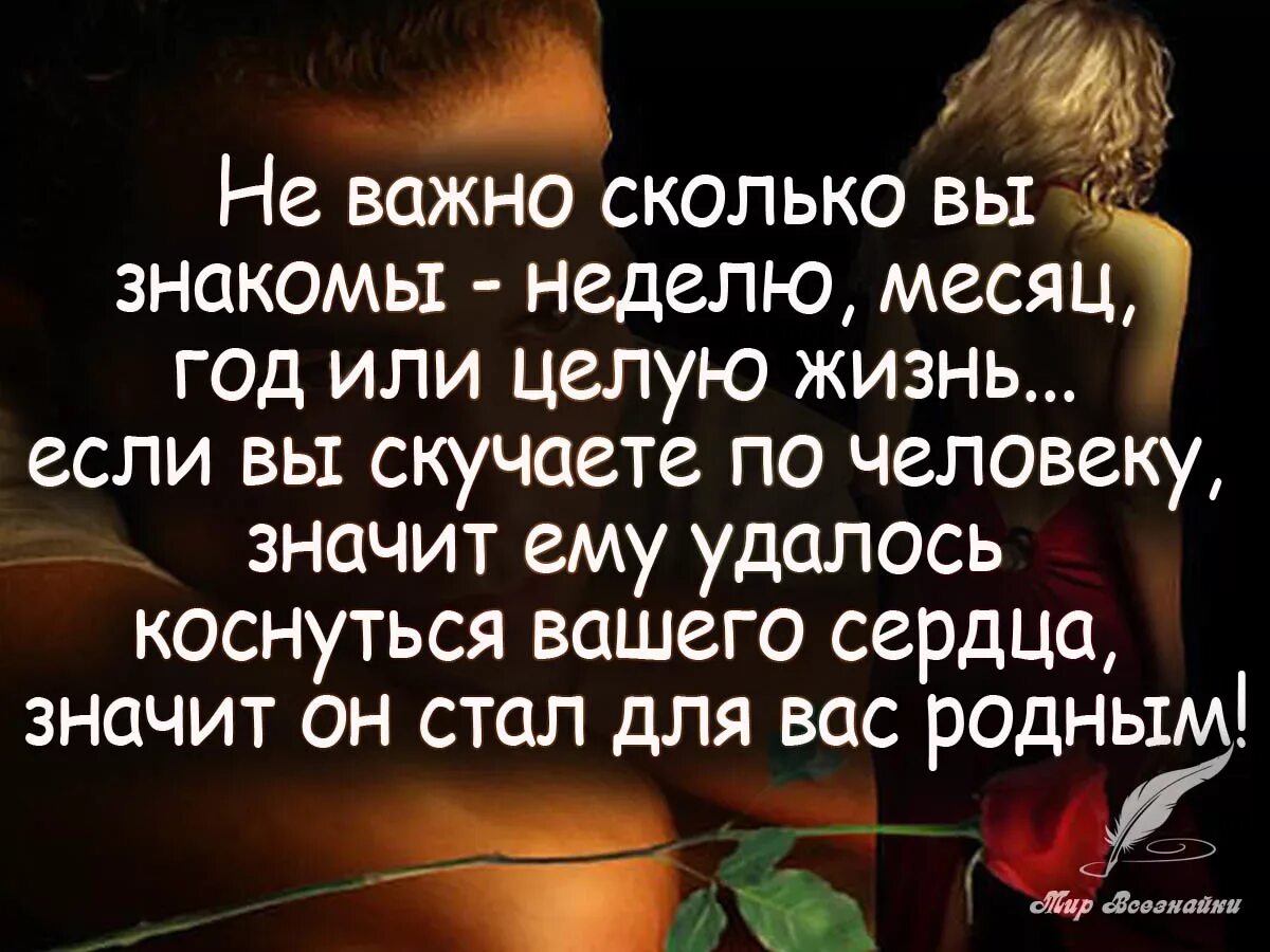 Муж стал роднее. Цитаты про близких. Цитаты про скуку по любимому человеку. Цитаты о любимом человеке. Красивые цитаты про любовь.