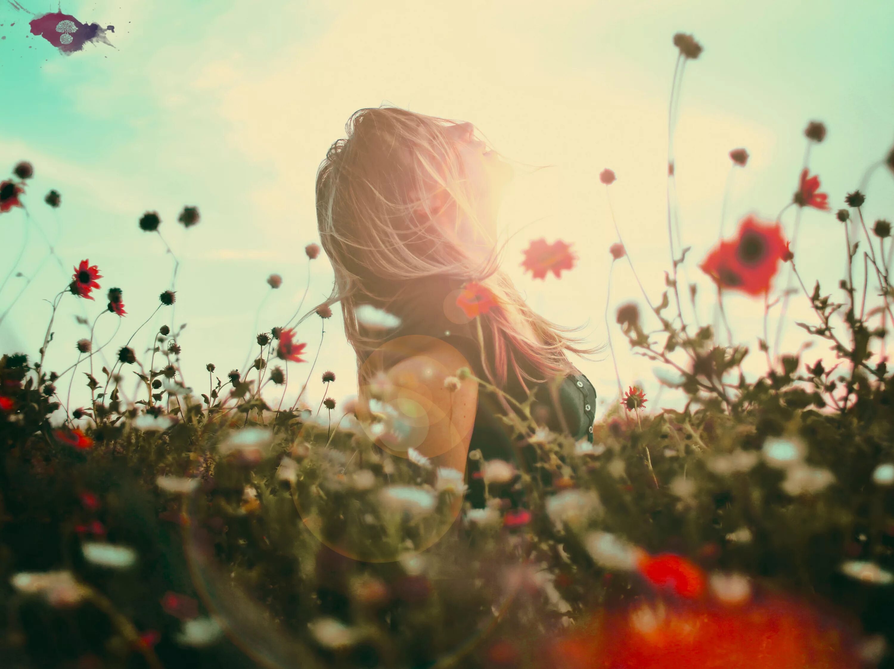 Девушка солнце цветы. Девушка с цветами со спины. Девушка с цветком. Девушка в цветах без лица. Размытые авы
