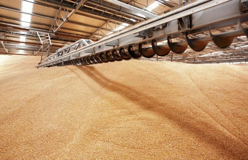 Как хранить зерновые. Хранилище зерна. Сорбционная сушка зерна. Элеватор для зерна. Силосная башня для зерна.