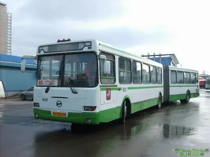 Автобус 611