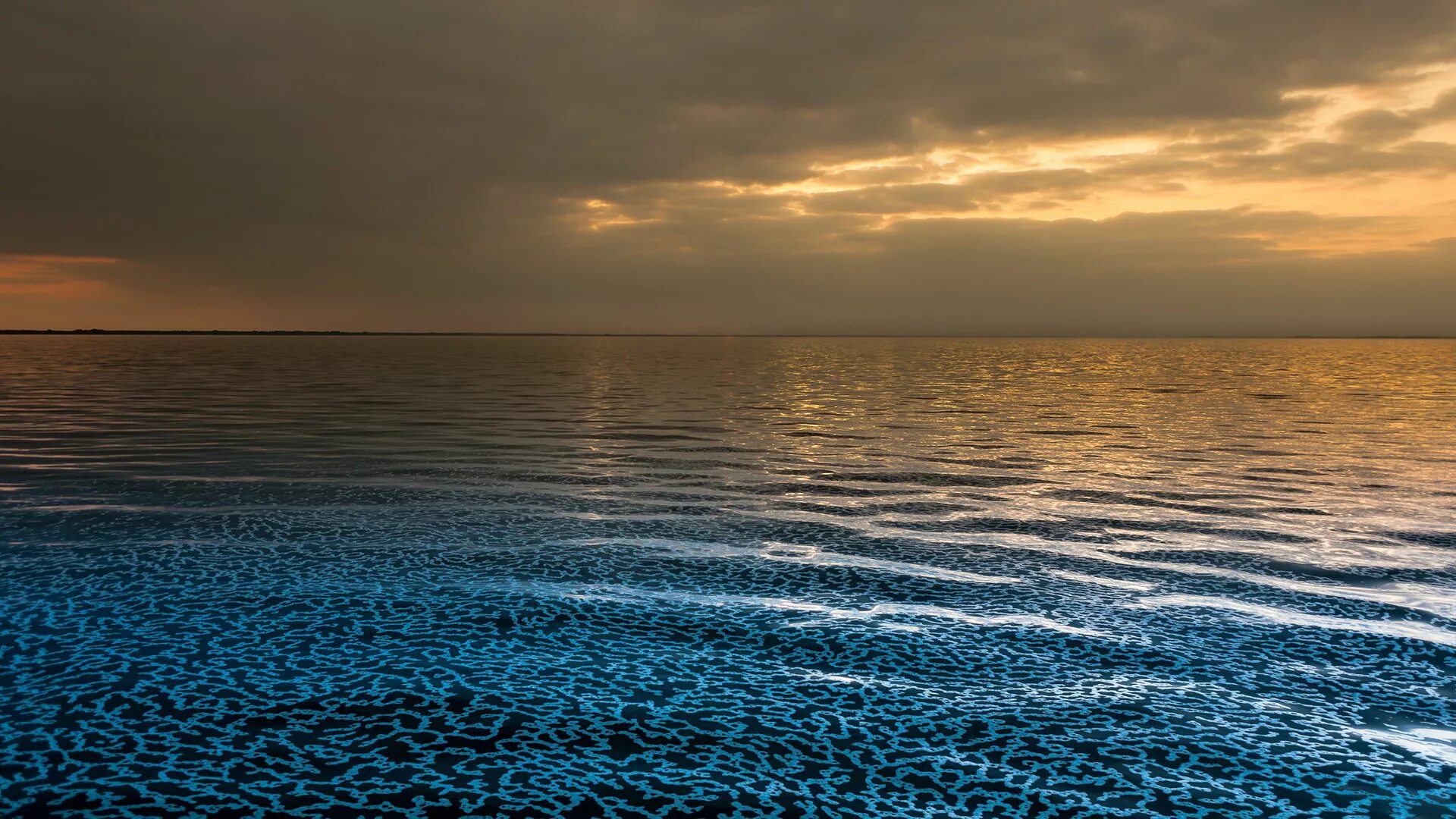 Спокойные темы. Море. Водная гладь. Океан. Море гладь.