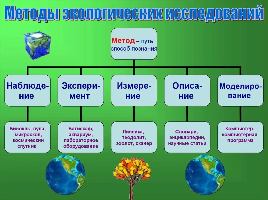 Экологический урок по биологии. Методы экологических исследований. Методы экологических исследований экология. Методы исследования в экологии. Способы изучения экологии.