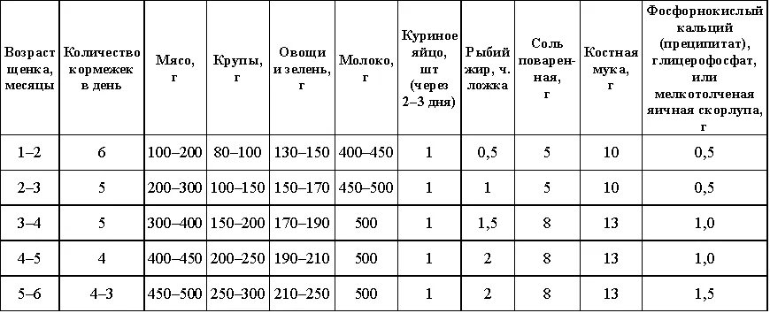 Что можно давать щенку в месяц. Сколько корма давать щенку в 2 месяца немецкой овчарки. рацион щенка немецкой овчарки щенка 2 месяца. таблица кормления щенка немецкой овчарки. рацион кормления щенка немецкой овчарки.