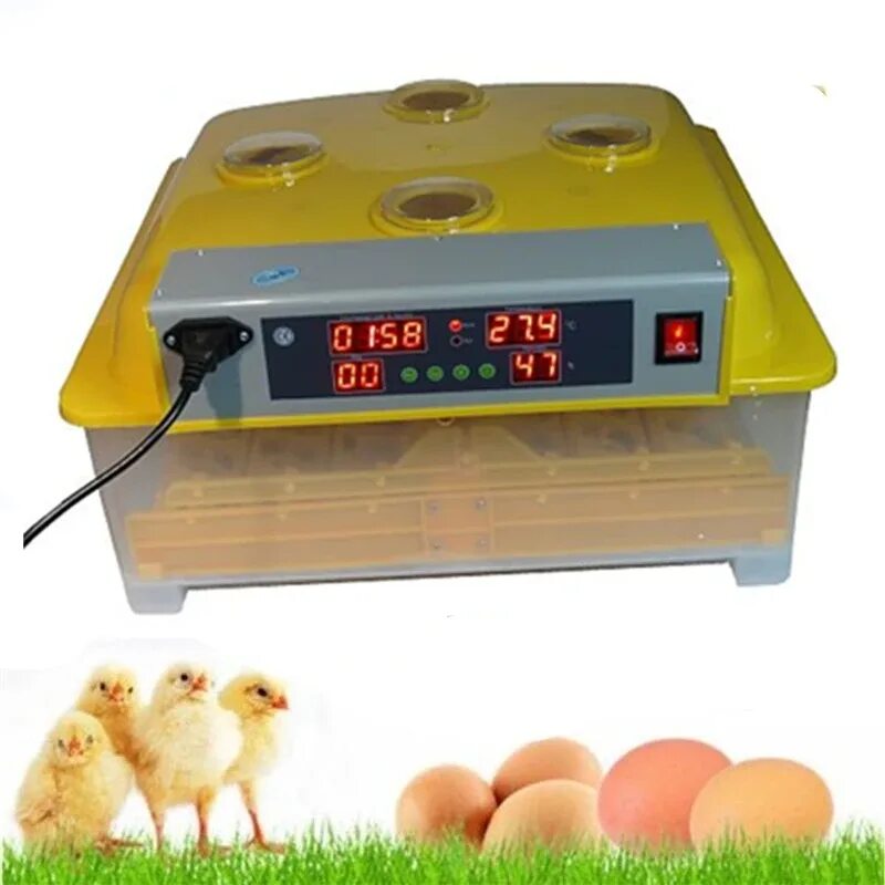 Инкубатор для яиц Egg incubator. Инкубатор 48eggзапчасти. Инкубатор Dulong WG 48.