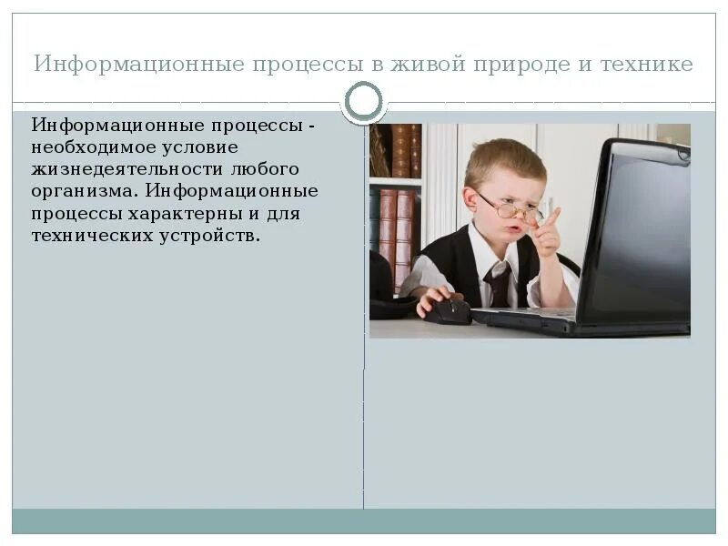 Информационные процессы в животном мире. Информационные процессы. информационные процессы в живой природе и технике. информационные процессы картинки. необходимое условие жизнедеятельности любого организма.