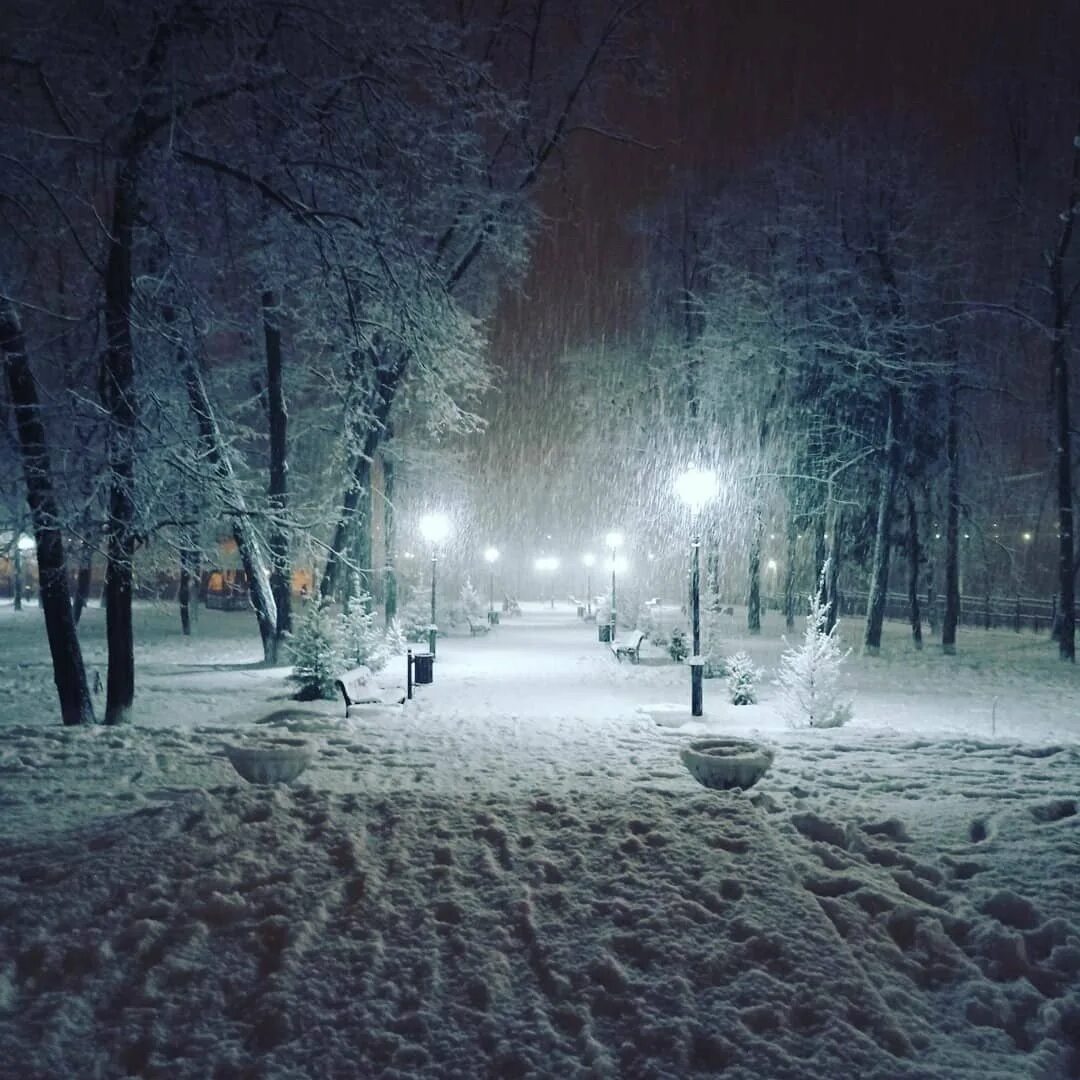 Снег вечером. Снежный вечер. Зима. К вечеру. Снегопад вечером.