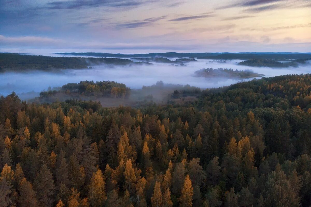 Карелия край озер и лесов. Таежный лес Карелии. Тайга Карелия озеро осень. Тайга Северная Карелия. Лес карельского перешейка.