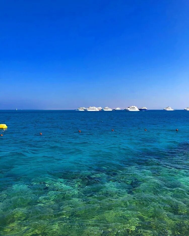 Красное море хургада отзывы. Хургада море. Красное море Египет Хургада. Хургада пляж. Красное море пляж.