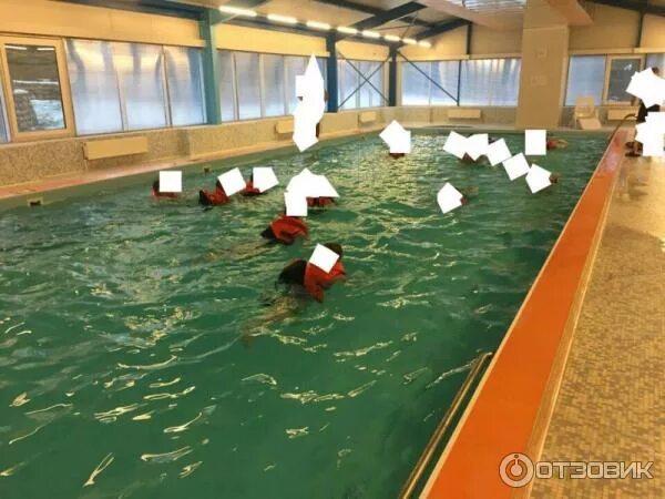 Добрый лось в лосево спа. Добрый лось бассейн. добрый лось база отдыха. добрый лось база отдыха бассейн. добрый лось база отдыха бассейн в лосево.