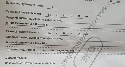 Проверить фолликулы