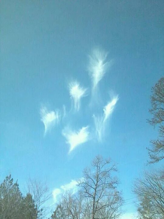 СТРИЖИ.РУ on Twitter Angel clouds, Angel pictures, Angel